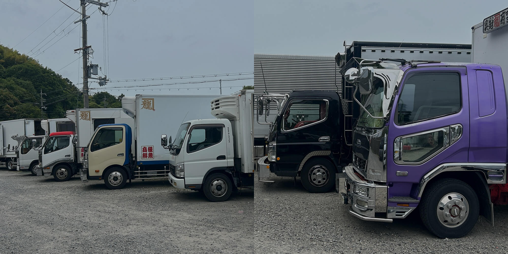 岸和田から近畿へ、鮮魚を運ぶ。 安定した会社で、長く働ける配送ドライバーへ！
